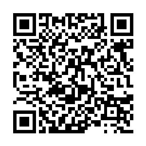 不得不对利比亚的很多武装派系进行拉拢和收买二维码生成