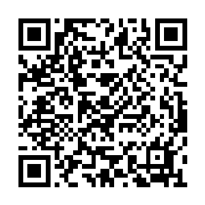 不得不微微抬起下巴才看清楚进来的这个年轻人二维码生成