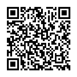 不得不把这拥有无限可能性的天才人物斩首示众二维码生成