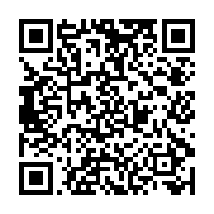 不得不掏出扣在腰上的手枪顶着池原博士的脑袋吼道二维码生成