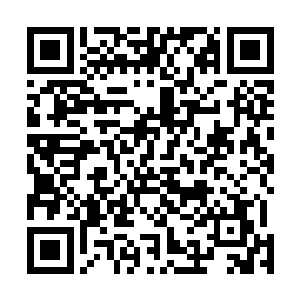 不得不结合我的玉牌以及自己的感应来重新读取对方脉络二维码生成