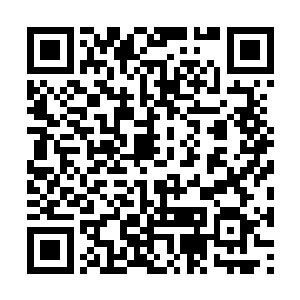 不得不说完美级别的纯灵丹起到了至关重要的作用二维码生成