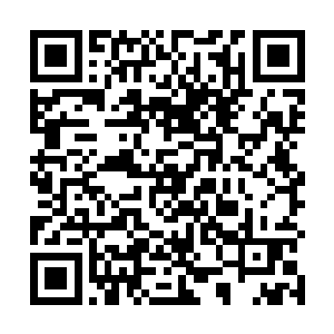 不得不说戴立能够坐哈市市局长这个身份是有真本事的二维码生成