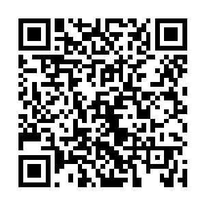 不得不说楚墨寒的容貌不管是在大坤还是整个九州大陆二维码生成