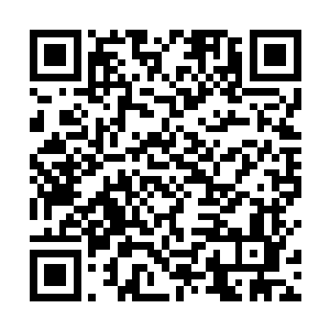 不得不说这个时候所有人的肾上腺素分泌都到了个峰值二维码生成