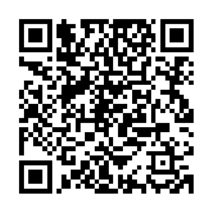 不必再被无数灵鱼纠缠能用最快的速度赶在觉醒之前到达它身边二维码生成