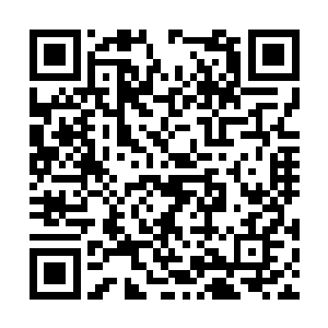 不必继续留在这里等找到了夏侯赢与萧黎后再回去二维码生成