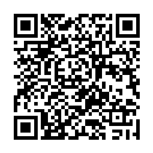 不忍直视的侍卫们只能提醒了一下在府里乱窜的严知州二维码生成