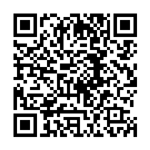 不忍看到林烽一个人被罗卿卿和萧霓裳二女欺负的画面了二维码生成