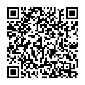 不情不愿的三只小冰魔裂天蝶都被流墨墨不客气的提溜出来放养了二维码生成