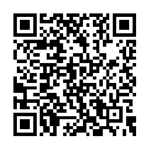 不惜使用灵宿之法牺牲无数生灵成就自己的妖主二维码生成