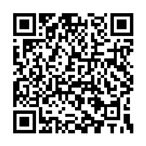 不惜第七军输也要赢得赌约保住自己统帅的位置二维码生成