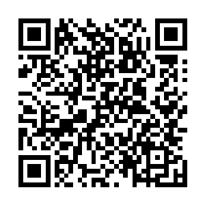 不惜跟从少林寺出来的俗家弟子沈悟本联合起来想对付秦方二维码生成