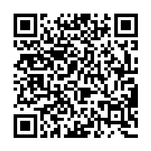 不想一道极其可怕的气息瞬间出现在比武擂台的下方二维码生成