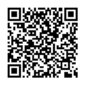 不想去当警察……我是一个很懒惰不想工作的人二维码生成