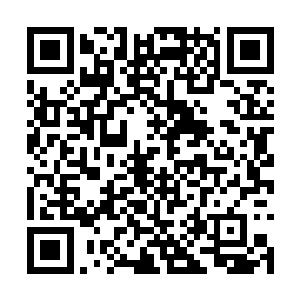 不想在帝宗是将那么多出色的弟子都集中在了一块二维码生成