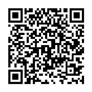 不意公主殿下却半点都没有要去生死堂拜访的意思二维码生成