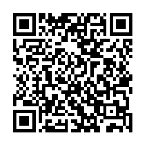 不意却得到了这么一个打击自信心打击到碎裂成渣的答案二维码生成