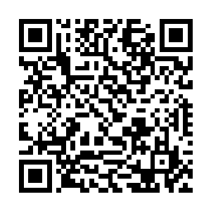 不愧是专门玩弄阴谋诡计出身的乌回天想出来的点子二维码生成