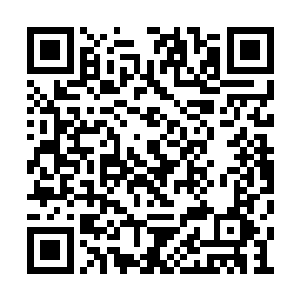 不愧是几十年后创意大到了敢跟着宁王造反的人二维码生成