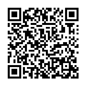 不愧是号称春秋马上战力第一的袁白熊袁大将军二维码生成