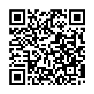 不愧是家族中种子级别的人物啊…二维码生成