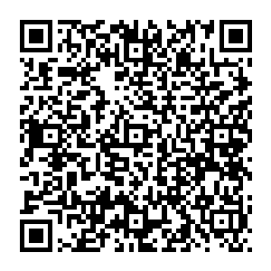 不愧是觉哥……面不改色地在一个由网络游戏所连接的世界里对一个可能不属于该网络游戏世界的二维码生成