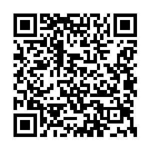 不愿意去相信还有人是真心愿意为别人而做事的二维码生成