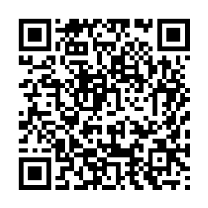不愿让那个真实身份是王府大管事宋渔的马夫听到二维码生成
