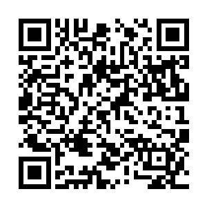 不指望能让这些领导干部学习两三天就能脱胎换骨二维码生成