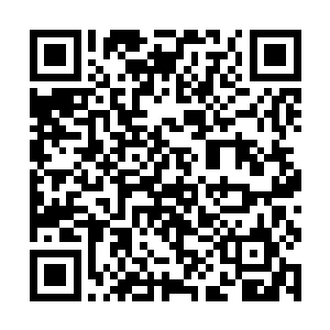 不排除一些不理智的人会对谢家的家人造成人身伤害二维码生成