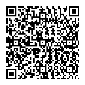 不接地气只能随风飘荡的局面是终结了……今后汉王你就是我们整个青脉集团回踩到地面的一只脚二维码生成