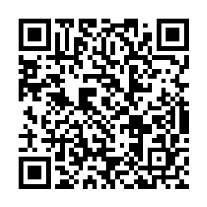 不接收普通人入城的指令其实也是在哈勃的暗示执行二维码生成