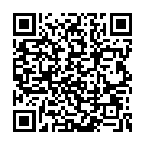 不提周氏脸上带着十二万分的笑容和李氏寒暄着二维码生成