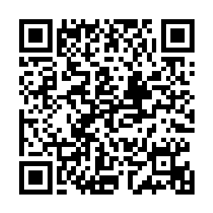 不敢打扰山主公务的红棉和绿柳都看出了秦薇薇有些不对二维码生成
