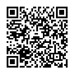 不敢相信地望着绿色火焰在缓缓而又坚决地侵蚀着神光二维码生成