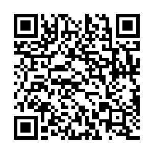 不敢看了……太恐怖了……就算偷窃的罪名治不了苏落二维码生成