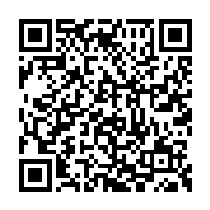 不敢看她的眼睛……檀九大人说吃就吃了嘛……二维码生成