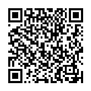 不敢随便开口相问――刚才主子明明提前一步到了沙洲二维码生成