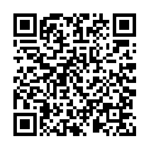 不料一直盘在枕头上的白琉璃先她一步游下了地二维码生成