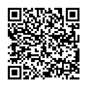 不料接触瞬间竟从流墨墨肩膀上猛的延伸出来的黑色藤蔓卷住二维码生成