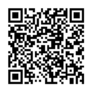 不料皇帝陛下为了这么点芝麻大小的事情龙颜大怒二维码生成