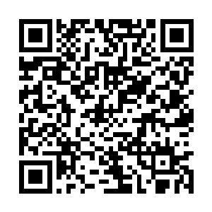 不断向着须弥宗的第一重护山大阵撒下无数的阵旗二维码生成