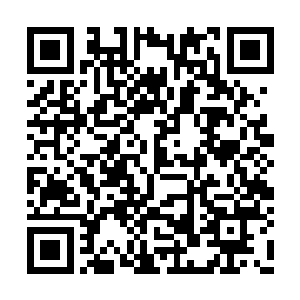 不断地有三族修士和海族修士补充到黑岩岛之中二维码生成