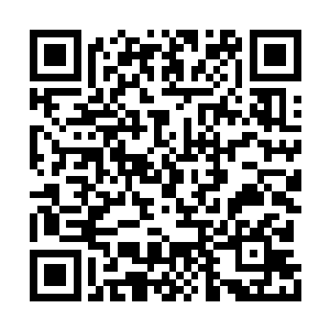 不断地有大巫在绝境之下唱响了生命献祭的咒言二维码生成