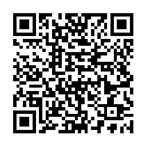 不断将浓郁的灵气从张潇晗的眉心之间送入到身体内二维码生成