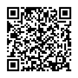 不断往下坠的整座附院像重物落地般一下子落下二维码生成