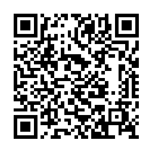 不断有孙子轩需要的药材被送到了同界大比世界二维码生成