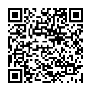 不断有荷枪实弹的防御者从四面八方如潮水般涌来二维码生成