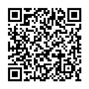 不断的从青色大蛇体外的青色防御罩上释放而出二维码生成